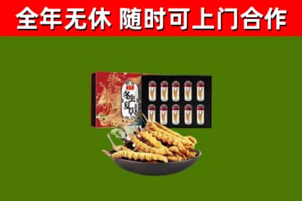 宛城烟酒回收冬虫夏草礼盒.jpg